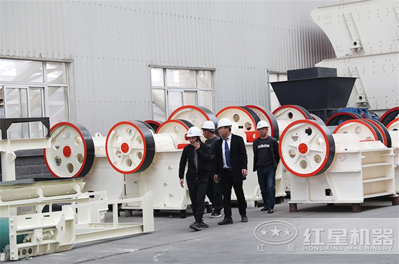 客戶(hù)考察250x1000細(xì)鄂設(shè)備